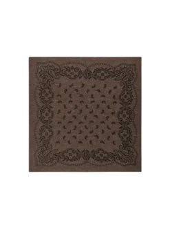 Adelina Paisley Knit Scarf Brown Melange