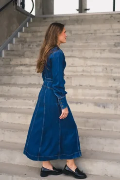 Belted Long Dress Frosted Over