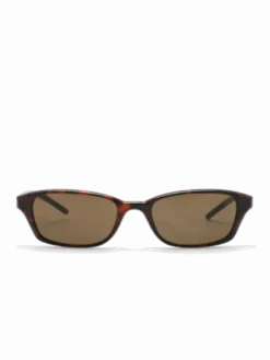 Chiara Tortoise