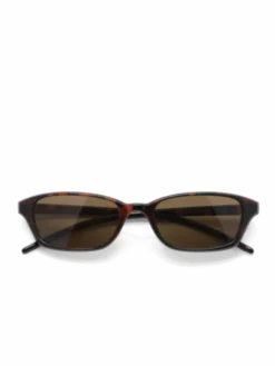 Chiara Tortoise