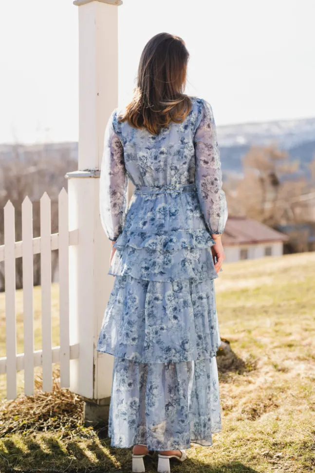Denila Crepe Print Dress Dusty Blue