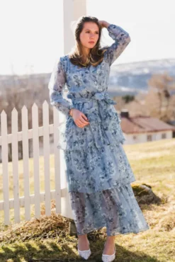 Denila Crepe Print Dress Dusty Blue