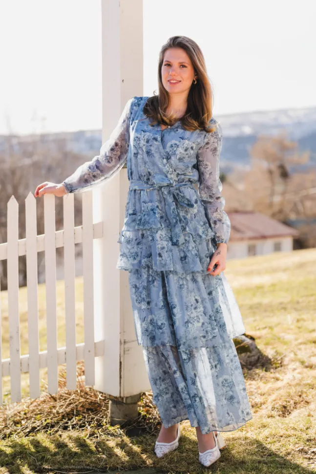 Denila Crepe Print Dress Dusty Blue