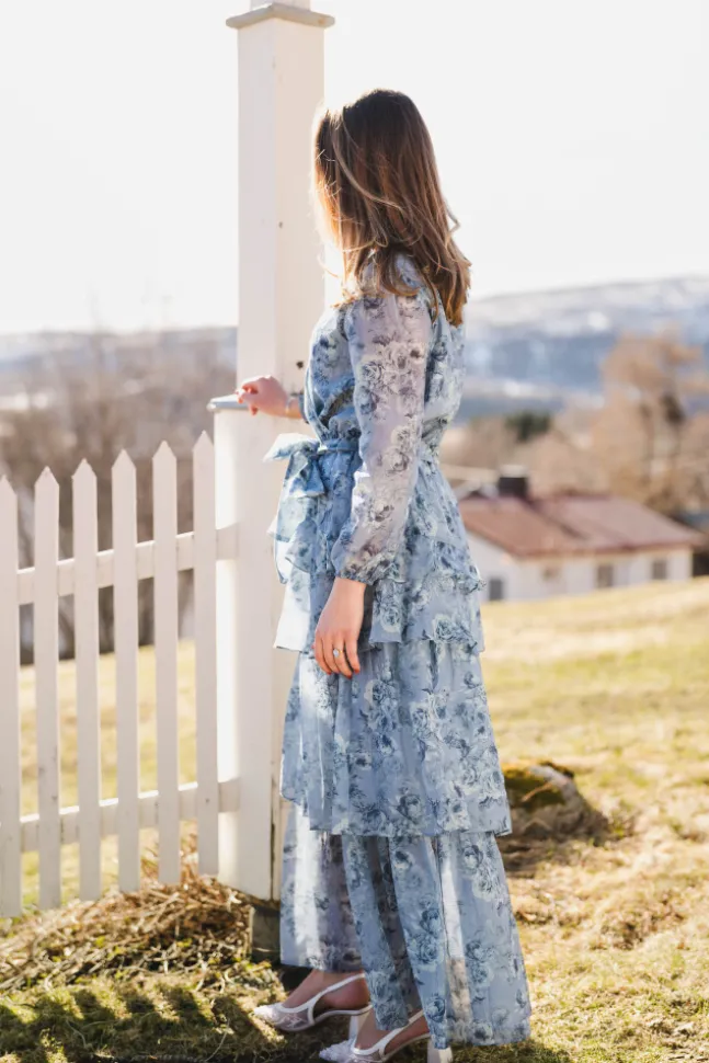 Denila Crepe Print Dress Dusty Blue