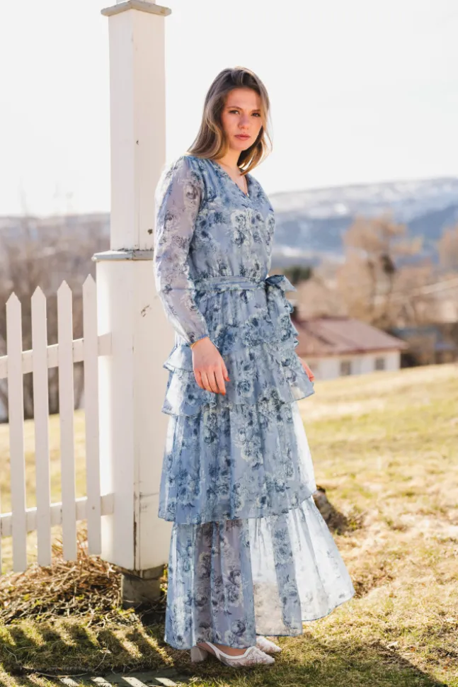 Denila Crepe Print Dress Dusty Blue