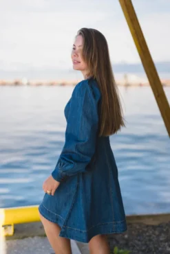 Denim Fitted Dress French Blue