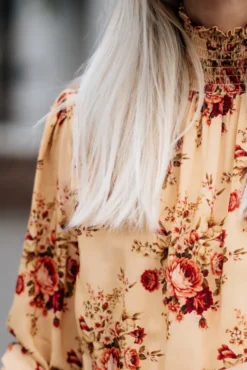 Dream Dress Roses