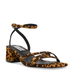 Gabby Leopard