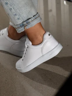Gorbio Low White
