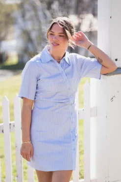 Jas Stripe Shirt Dress Light Blue