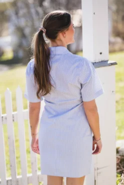 Jas Stripe Shirt Dress Light Blue