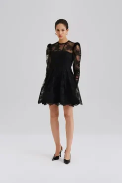 Leoni Lace Mini Dress Black