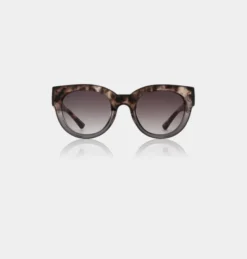 Lilly Coquina