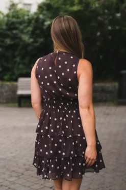 May Big Dot Dress Brown