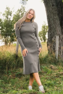 Mima Merino Dress Wood