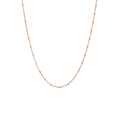 Nala Choker Necklace