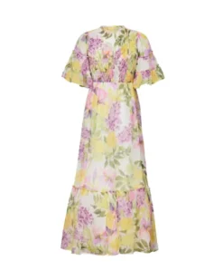Organza Smocking Dress Springfield