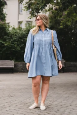 Pala LS Smock Shirt Dress Windward Blue