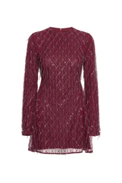 Sequins Mini Flared Dress Winetasting