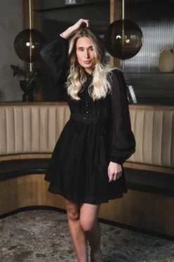 Striped Organza Mini Dress Black