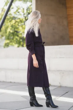 Trinny Stripe Batwing Dress Plum