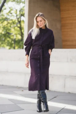 Trinny Stripe Batwing Dress Plum
