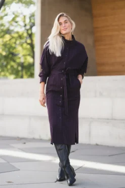 Trinny Stripe Batwing Dress Plum