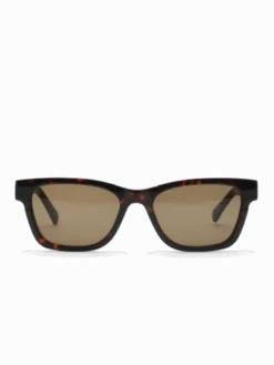 Verso Tortoise