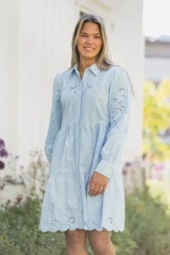 Zimia LS Shirt Dress Skyway